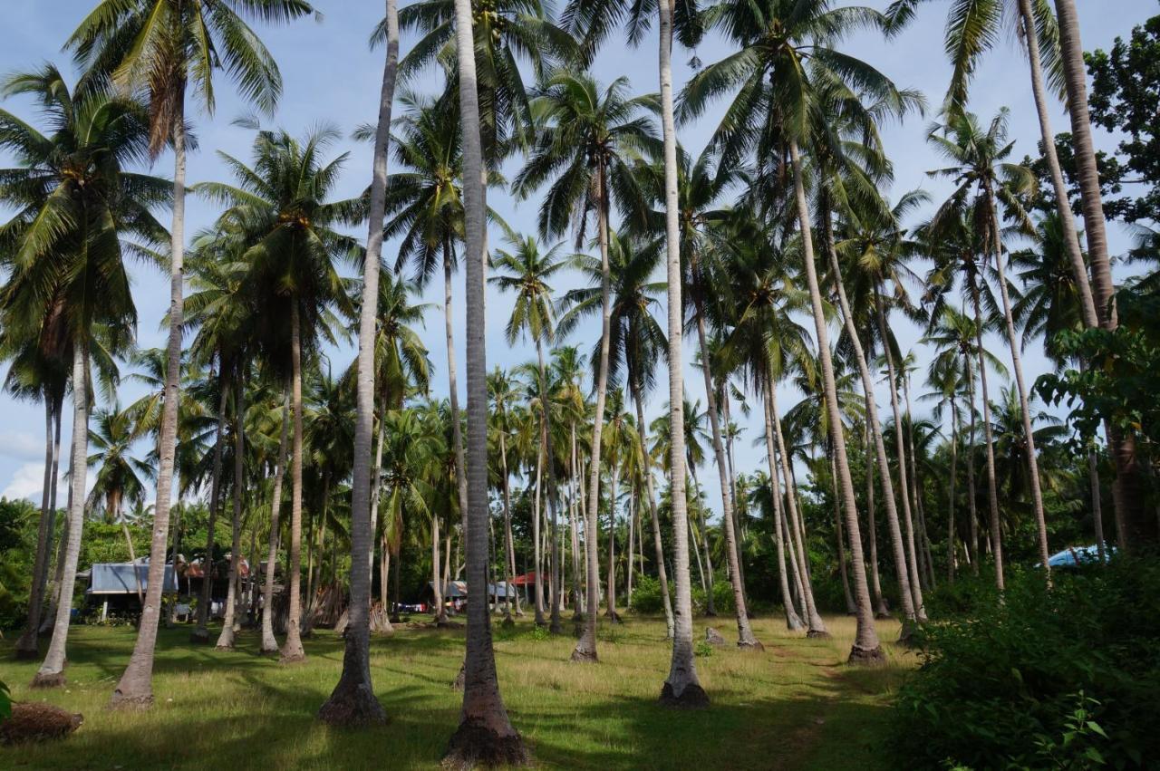 Peaceland Hostel Panglao-stad Buitenkant foto